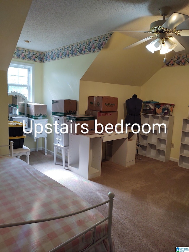 3409 Red Valley Rd, Remlap, AL 35133 - carpeted bedroom with a textured ceiling and ceiling fan