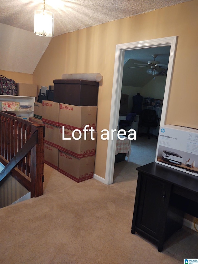 3409 Red Valley Rd, Remlap, AL 35133 - bedroom with light carpet, a textured ceiling, and a walk in closet