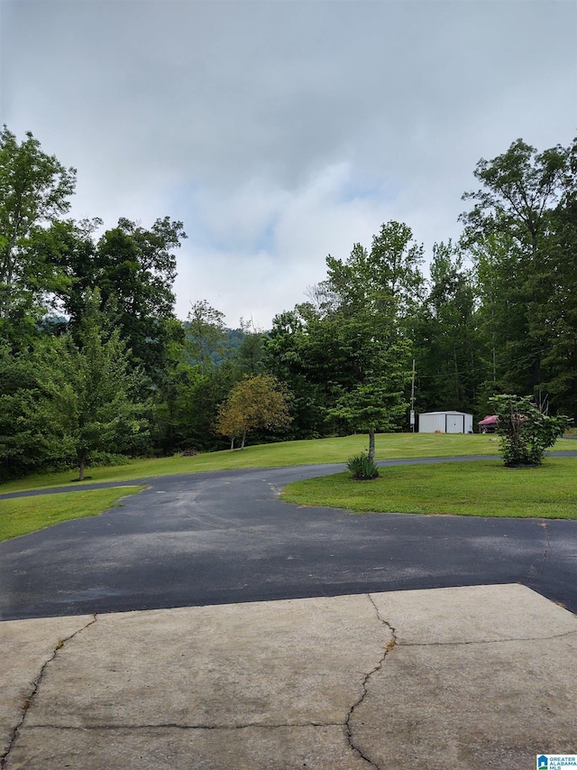 3409 Red Valley Rd, Remlap, AL 35133 - view of road