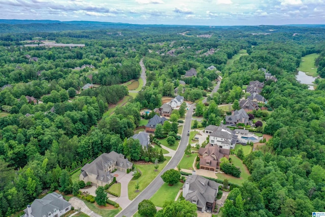 4338 Kings Mountain Rdg, Vestavia Hills, AL 35242 - aerial view of residential area with a heavily wooded area