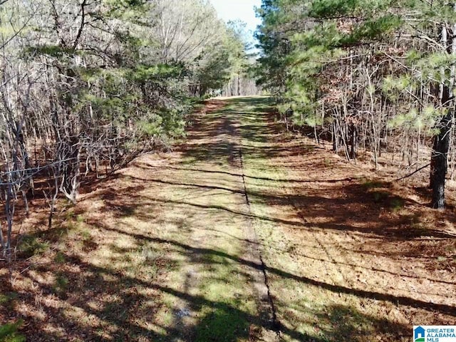 5000 Eads Uptain Rd Unit 1, 2, 3, 4, Adger, AL 35006