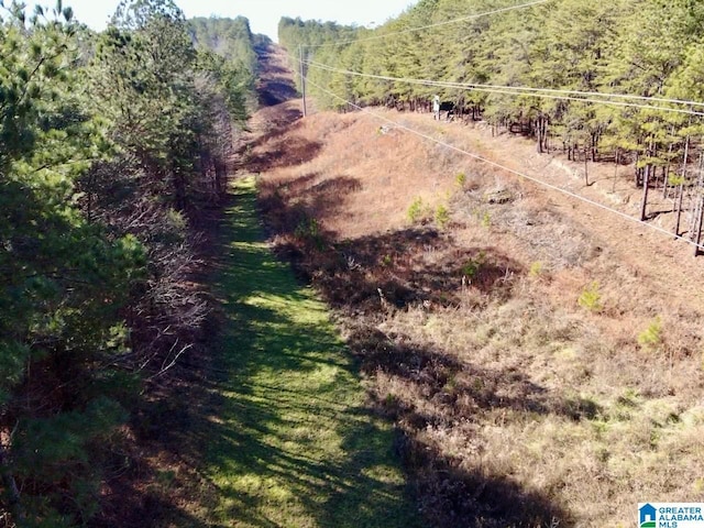 5000 Eads Uptain Rd Unit 1, 2, 3, 4, Adger, AL 35006