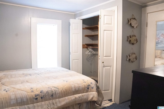 231 Smith Camp Ln, Adger, AL 35006 - bedroom with ornamental molding, a closet, and multiple windows