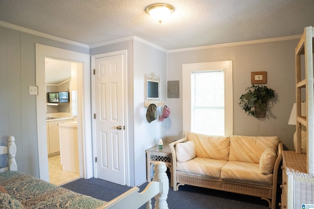 231 Smith Camp Loop, Adger, AL 35006 - bedroom with ornamental molding, a textured ceiling, ensuite bath, and light floors