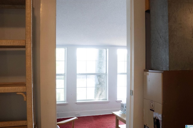 231 Smith Camp Loop, Adger, AL 35006 - interior space featuring healthy amount of natural light