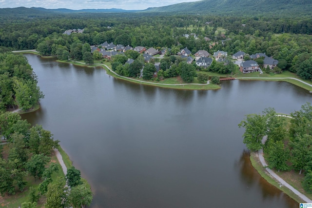 4063 Milners Cres, Hoover, AL 35242 - aerial view of a forest and a water and mountain view