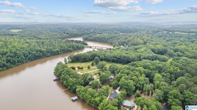 209 Ward Haven Dr, Wedowee, AL 36278 - drone / aerial view of a forest and a large body of water