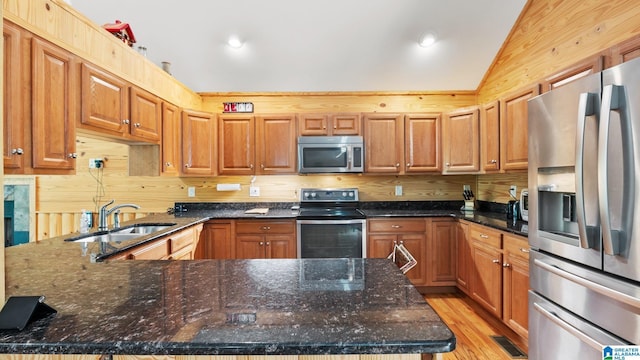 209 Ward Haven Dr, Wedowee, AL 36278 - kitchen with appliances with stainless steel finishes, a sink, vaulted ceiling, a peninsula, and light wood-style floors