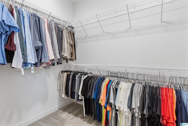 3040 Iris Dr, Hoover, AL 35244 - spacious closet featuring carpet floors