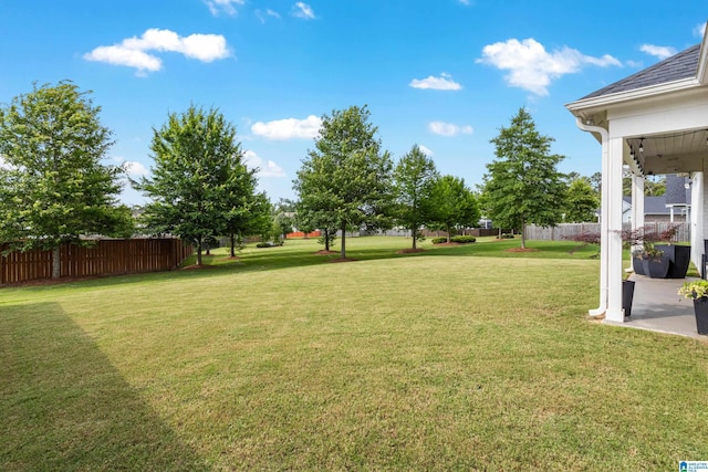 3040 Iris Dr, Hoover, AL 35244 - view of yard
