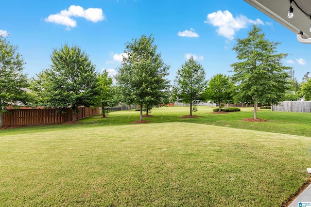 3040 Iris Dr, Hoover, AL 35244 - view of yard