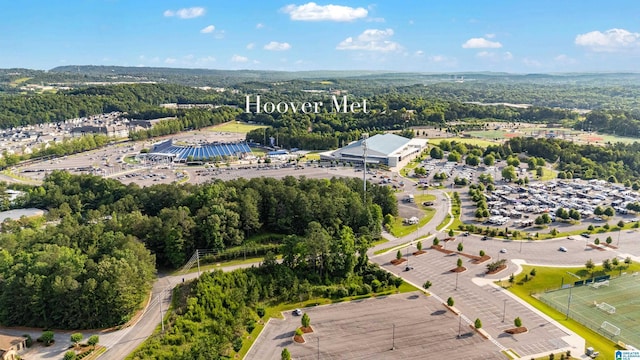 3040 Iris Dr, Hoover, AL 35244 - view of property location featuring a heavily wooded area