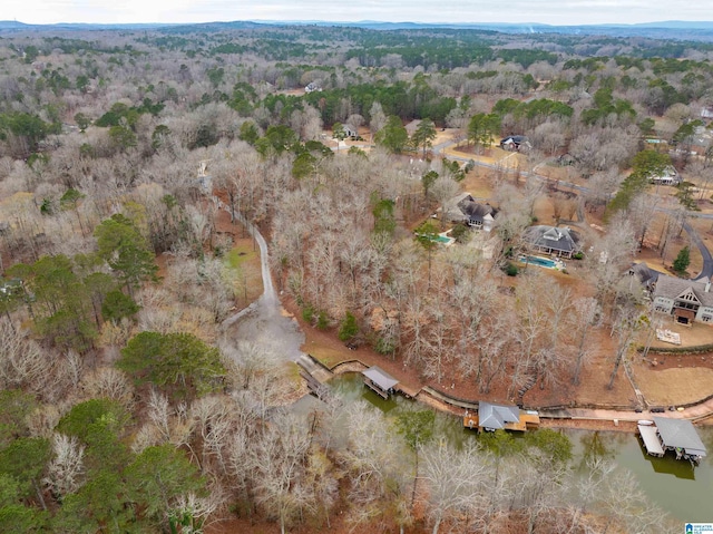 130 Eagle Pointe Way, Pell City, AL 35128 - view of property location featuring a forest