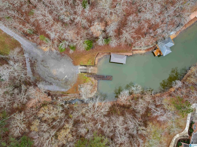 130 Eagle Pointe Way, Pell City, AL 35128 - aerial overview of property's location