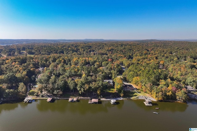130 Eagle Pointe Way, Pell City, AL 35128 - view of property location with a heavily wooded area and a nearby body of water