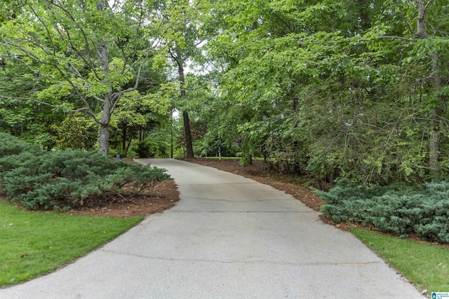 307 N Lake Rd, Hoover, AL 35242 - view of community featuring concrete driveway