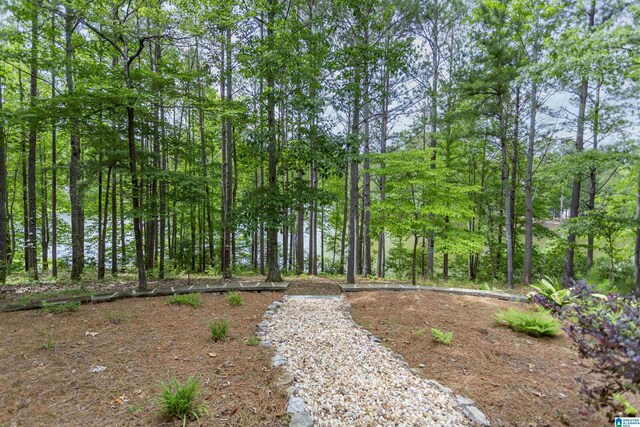307 N Lake Rd, Hoover, AL 35242 - view of yard