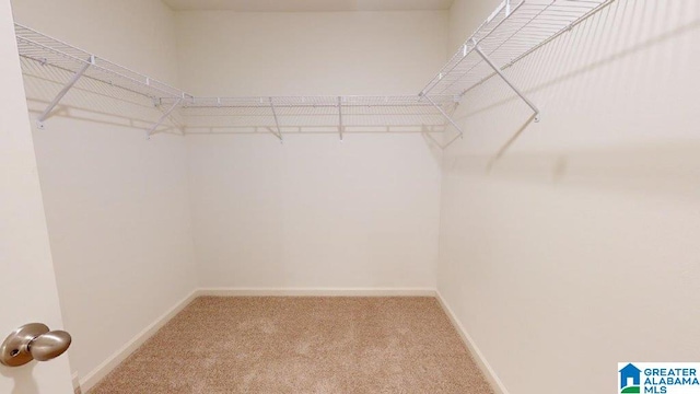 217 Halifax Ln, Chelsea, AL 35043 - walk in closet featuring carpet floors