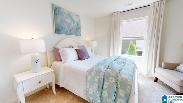 217 Halifax Ln, Chelsea, AL 35043 - view of carpeted bedroom