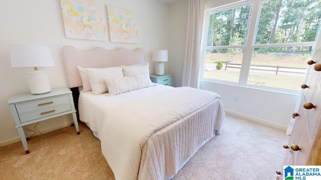 217 Halifax Ln, Chelsea, AL 35043 - bedroom with carpet flooring and baseboards