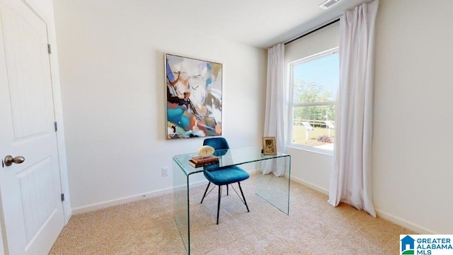 217 Halifax Ln, Chelsea, AL 35043 - office featuring light colored carpet and baseboards