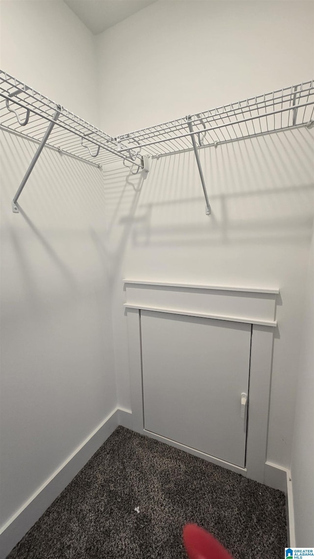 1077 Grande View Pass, Alabaster, AL 35114 - spacious closet with dark colored carpet