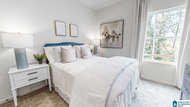 645 Fish Camp Rd, Chelsea, AL 35043 - bedroom featuring light carpet and baseboards