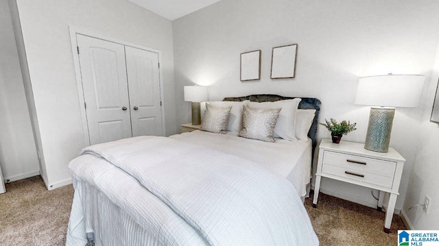 645 Fish Camp Rd, Chelsea, AL 35043 - bedroom with carpet, a closet, and baseboards
