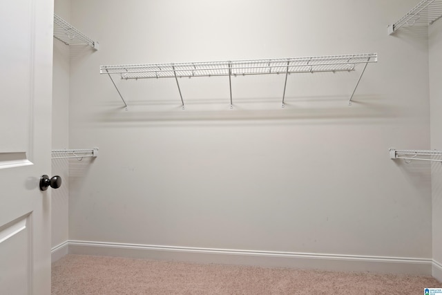1343 Chapel St, Hoover, AL 35226 - spacious closet with carpet floors