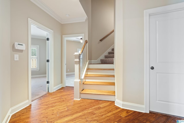 1343 Chapel St, Hoover, AL 35226 - staircase featuring crown molding, wood finished floors, and baseboards