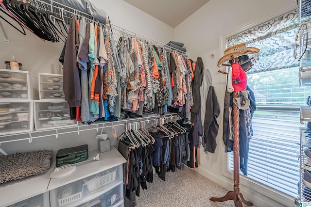 121 Middle Ridge Trl, Springville, AL 35146 - view of walk in closet