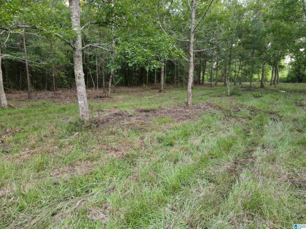 0000 Al Highway 22 Unit 30, Rockford, AL 35136