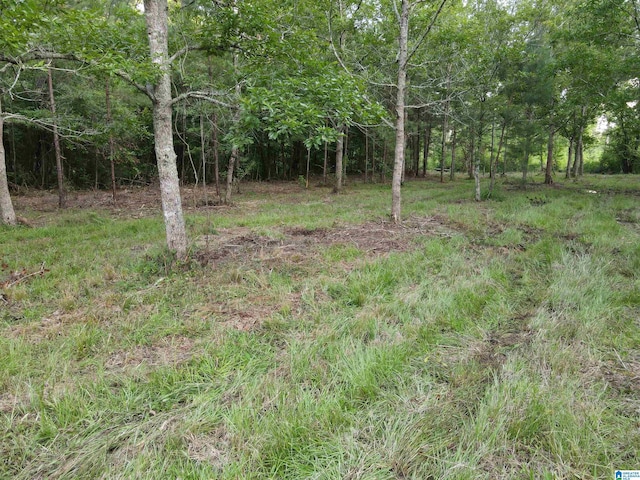 0000 Al Highway 22 Unit 30, Rockford, AL 35136