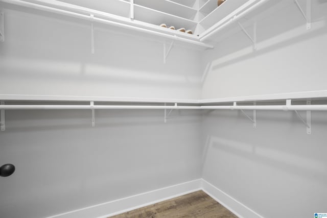 350 Shiloh Creek Dr, Calera, AL 35040 - spacious closet featuring dark wood-type flooring