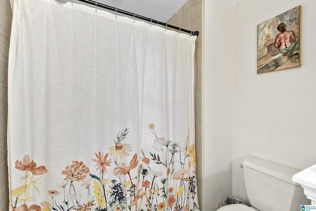 545 Russet Bend Dr, Hoover, AL 35244 - full bathroom featuring toilet and curtained shower