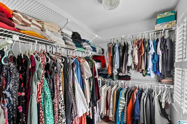 545 Russet Bend Dr, Hoover, AL 35244 - view of walk in closet