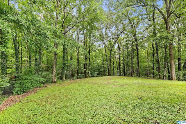 545 Russet Bend Dr, Hoover, AL 35244 - view of green lawn with a wooded view