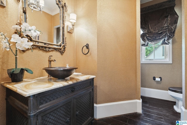 2821 Shook Hill Cir, Mountain Brook, AL 35223 - bathroom featuring vanity, toilet, wood finished floors, and baseboards