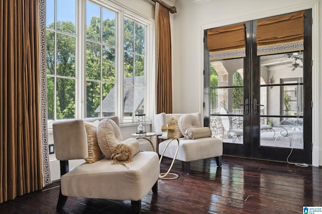 2821 Shook Hill Cir, Mountain Brook, AL 35223 - living area featuring french doors, healthy amount of natural light, and dark wood-type flooring