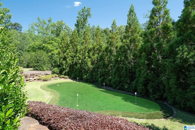 2821 Shook Hill Cir, Mountain Brook, AL 35223 - view of community featuring a putting green