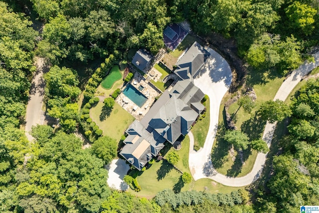 2821 Shook Hill Cir, Mountain Brook, AL 35223 - drone / aerial view of a pool