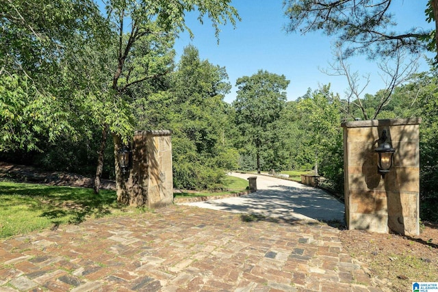 2821 Shook Hill Cir, Mountain Brook, AL 35223 - view of gate