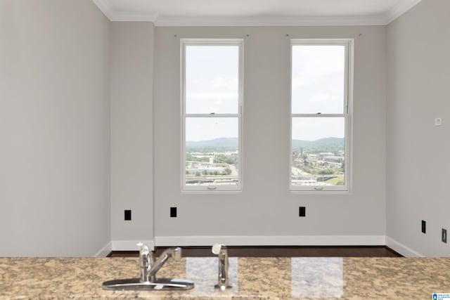 2024 2nd Ave N Unit 1703, Birmingham, AL 35203 - empty room with ornamental molding, wood finished floors, a sink, baseboards, and a mountain view