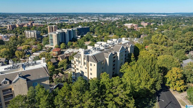 2600 Arlington Ave Unit 80, Birmingham, AL 35205 - aerial overview of property's location