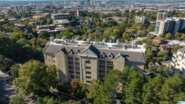 2600 Arlington Ave Unit 80, Birmingham, AL 35205 - aerial view of property's location