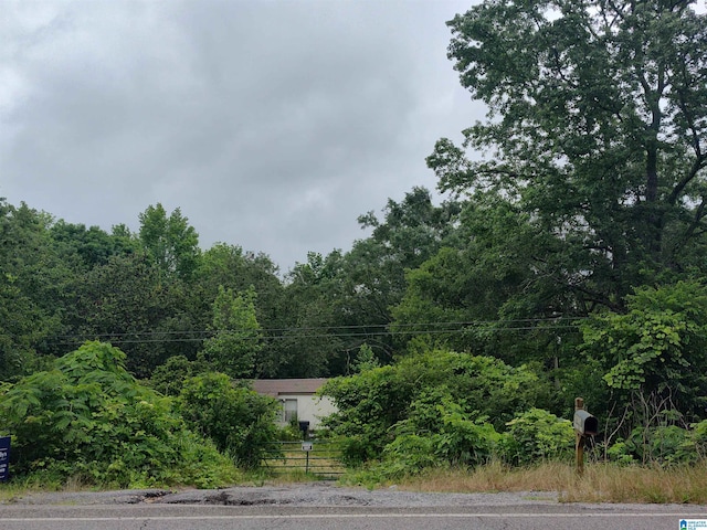 3640 Logan Martin Dam Rd Unit 3640, Cropwell, AL 35054