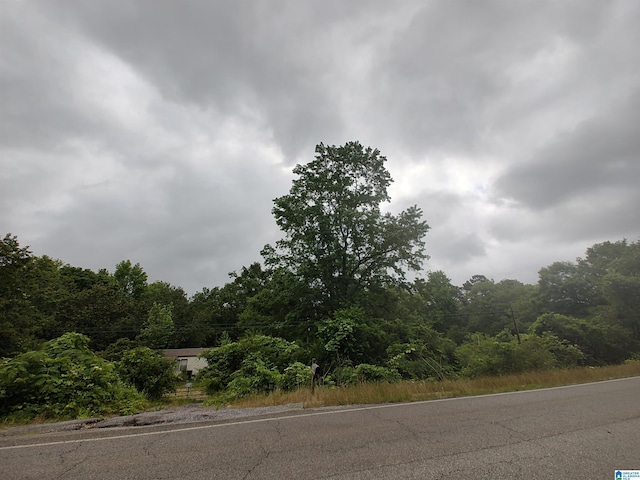 3640 Logan Martin Dam Rd Unit 3640, Cropwell, AL 35054