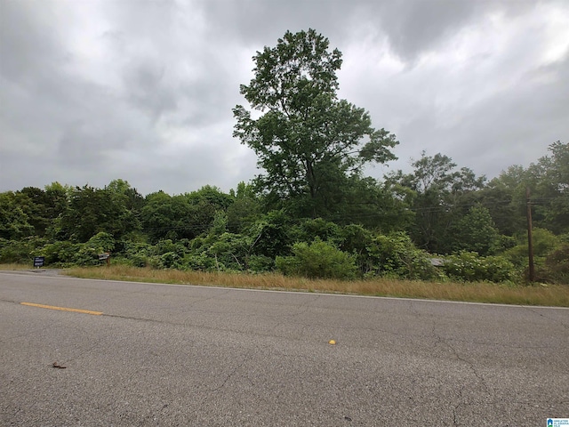 3640 Logan Martin Dam Rd Unit 3640, Cropwell, AL 35054