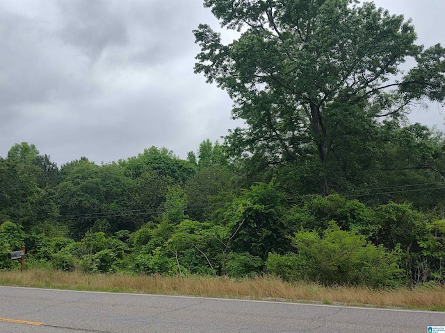 3640 Logan Martin Dam Rd Unit 3640, Cropwell, AL 35054