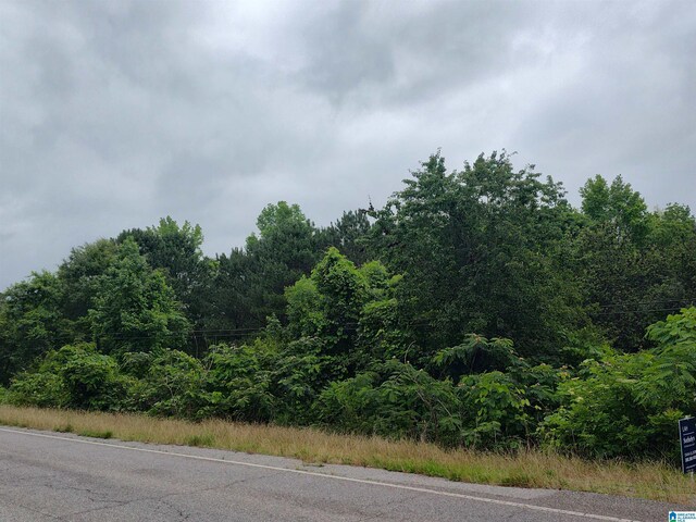 3640 Logan Martin Dam Rd Unit 3640, Cropwell, AL 35054
